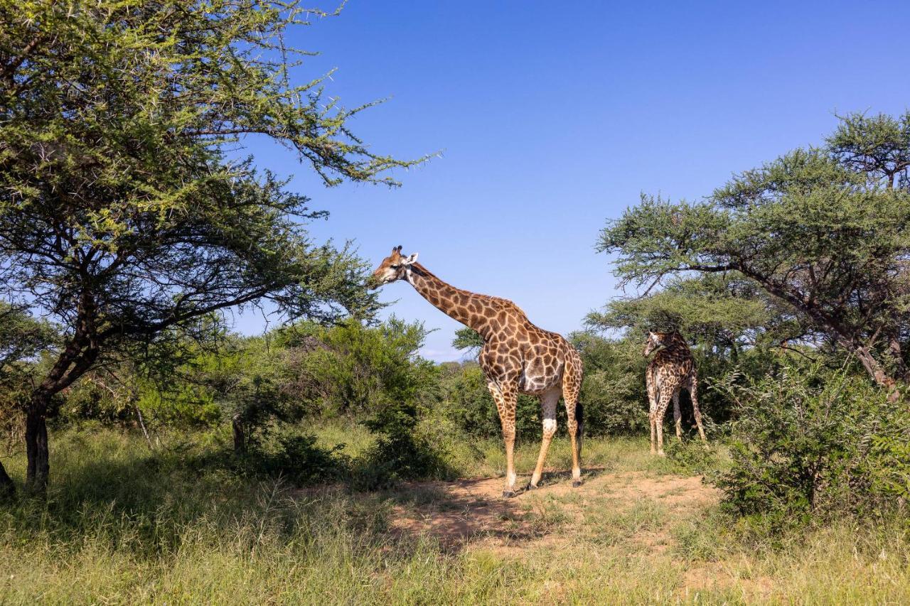 Oase By 7 Star Lodges - Greater Kruger Private 530Ha Reserve Ходспруит Екстериор снимка